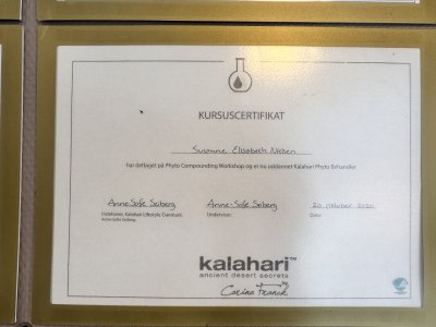 Mine uddannelser og kurser